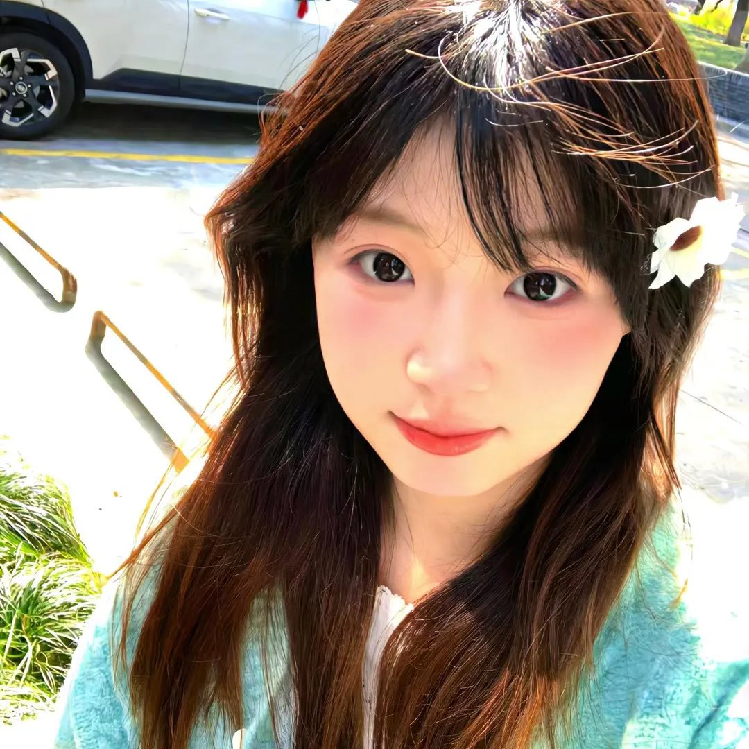 梅花红桃